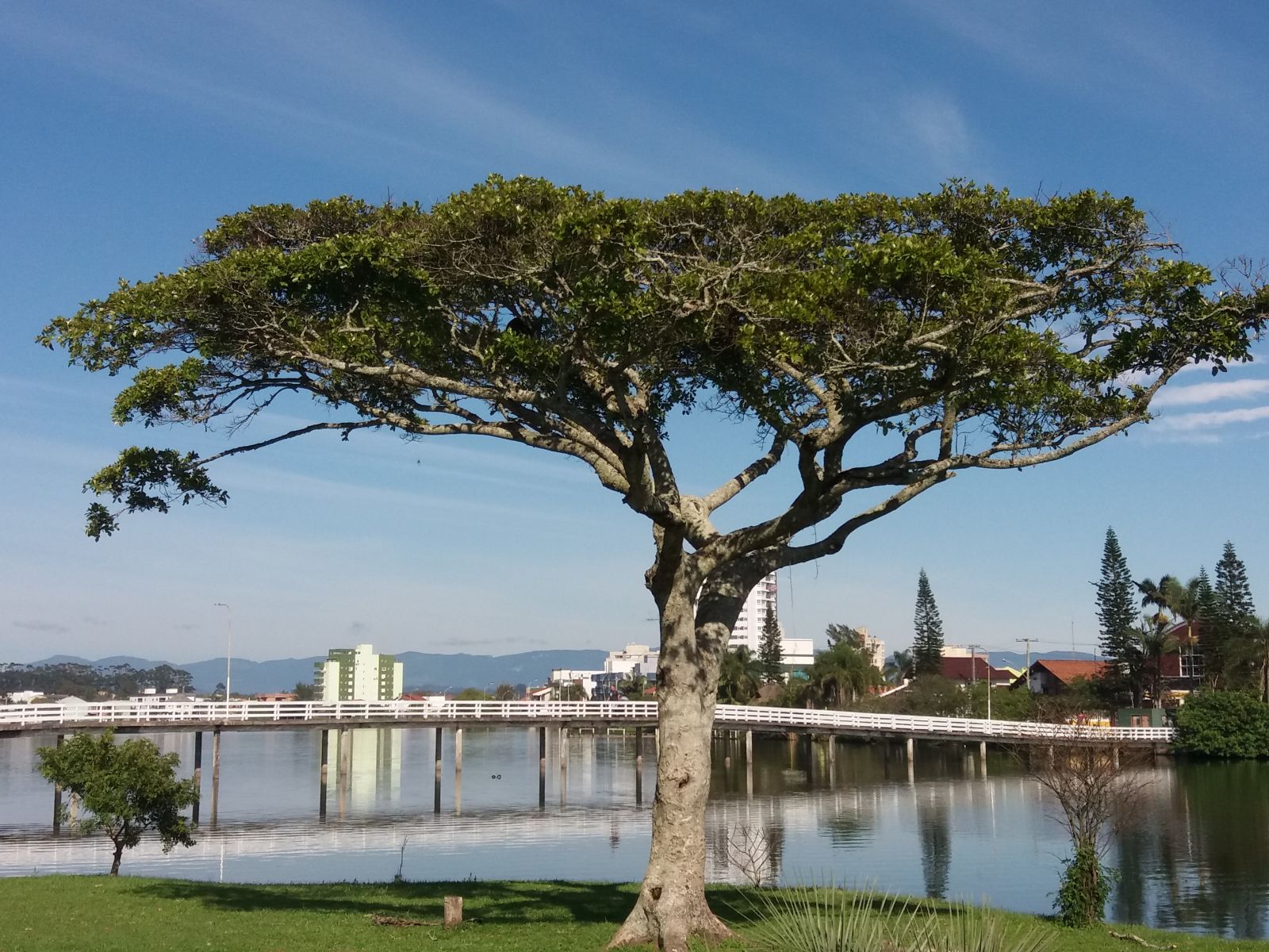 plataforma nova com bonus no cadastro - Lagoa do Violão Torres RS Foto Íris Amigos do Turismo